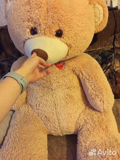 Плюшевый медведь