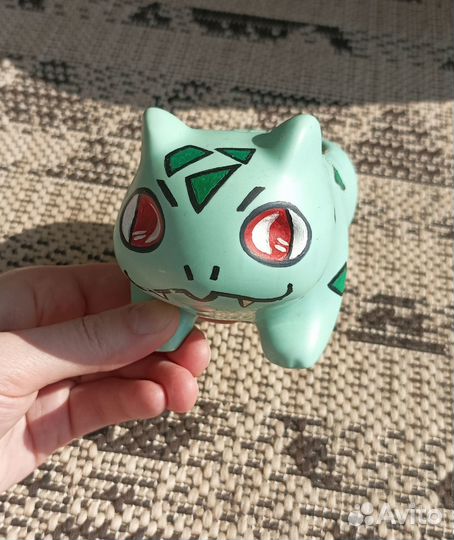 Кактусы и суккуленты