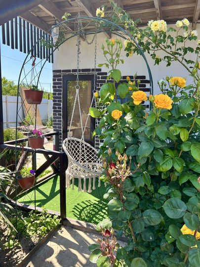 Комната 12 м², 1/2 эт.