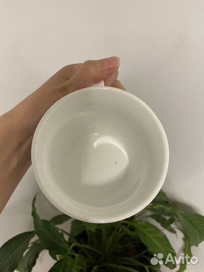 Кружка безуббик