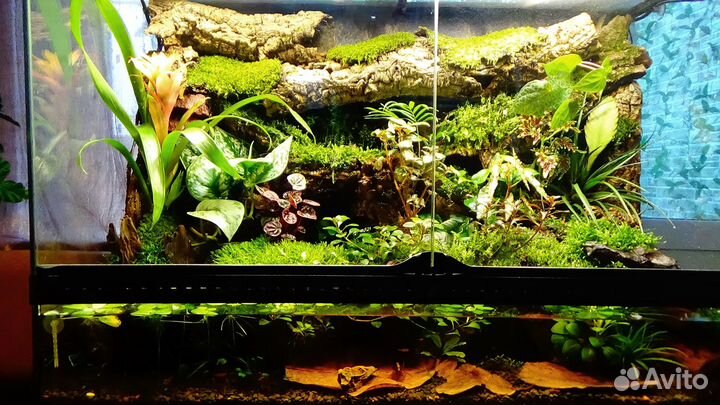 Поролон для аквариумов, террариумов,палюдариумов