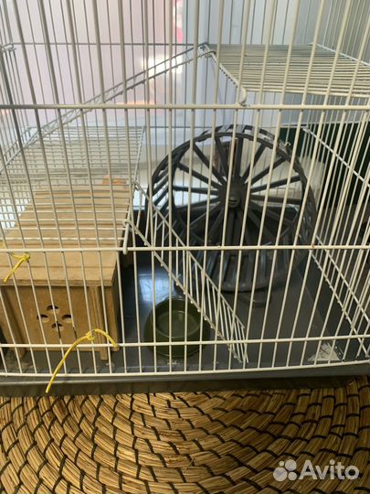 Клетка для грызунов бу