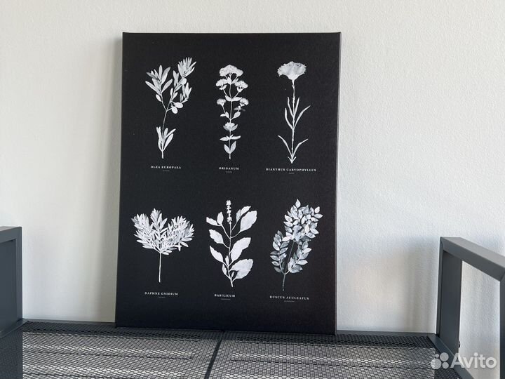 Картины и постеры IKEA 2 шт