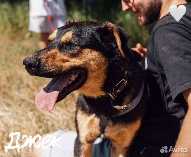 Джек из приюта