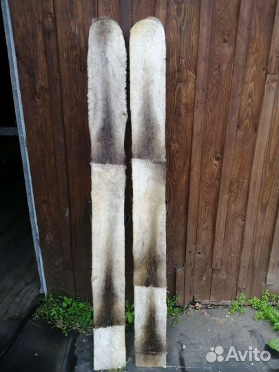 Лыжи охотничьи с камусом