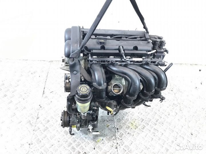 Двигатель shda Ford Focus 2 2007 - 2010