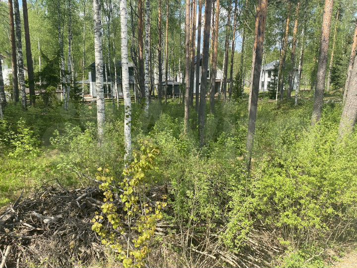 Участок 16 сот. (ИЖС)