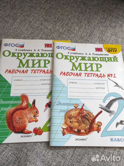 Рабочая тетрадь по окружающему миру 2 класс