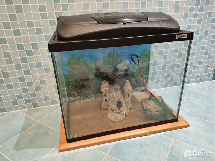 Аквариум