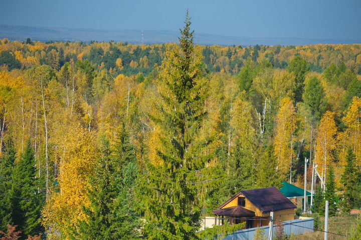 Участок 15 сот. (СНТ, ДНП)