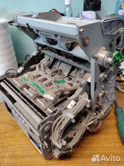 Чистка и ремонт Kisan Newton