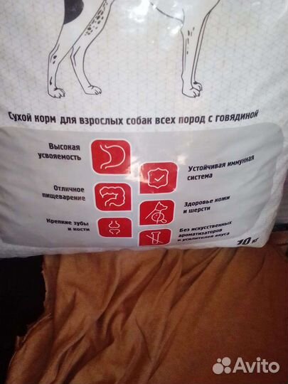 Корм для собак