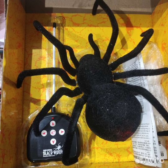 Паук на пульте управления