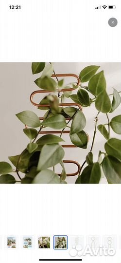 Шпалера держатель для растений опора