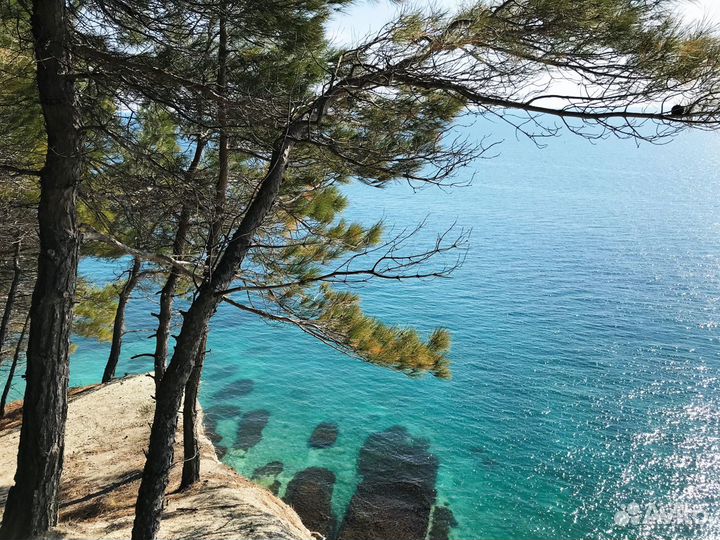 Экскурсии индивидуальные Геленджик