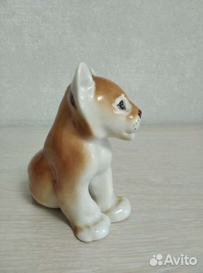 Львенок лфз