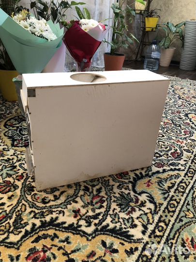 Сеялка для зерна птиц