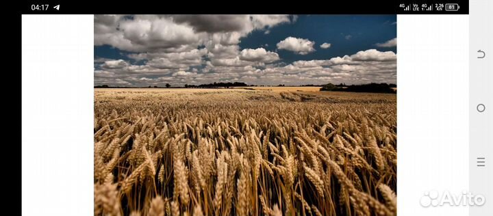 Продам земельный участок