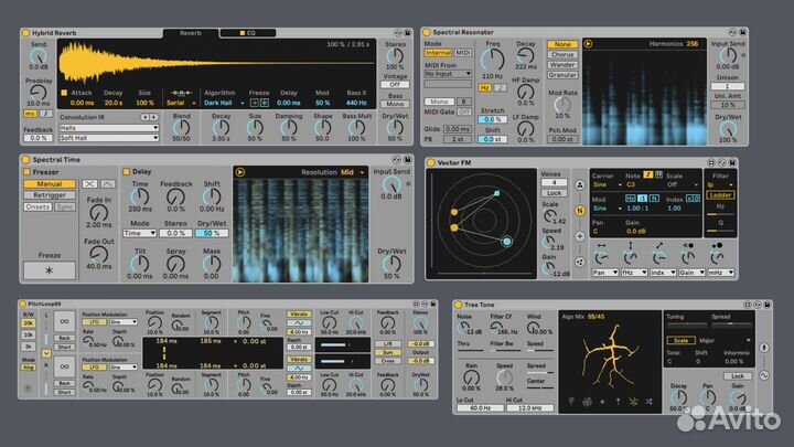 Ableton Live 11 Suite