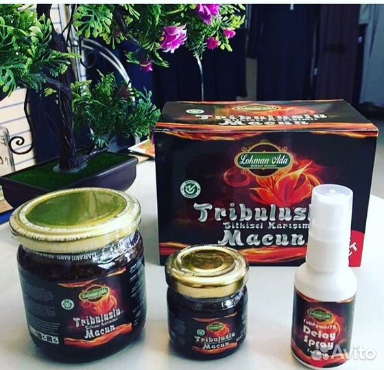 Паста трибулус 3в1