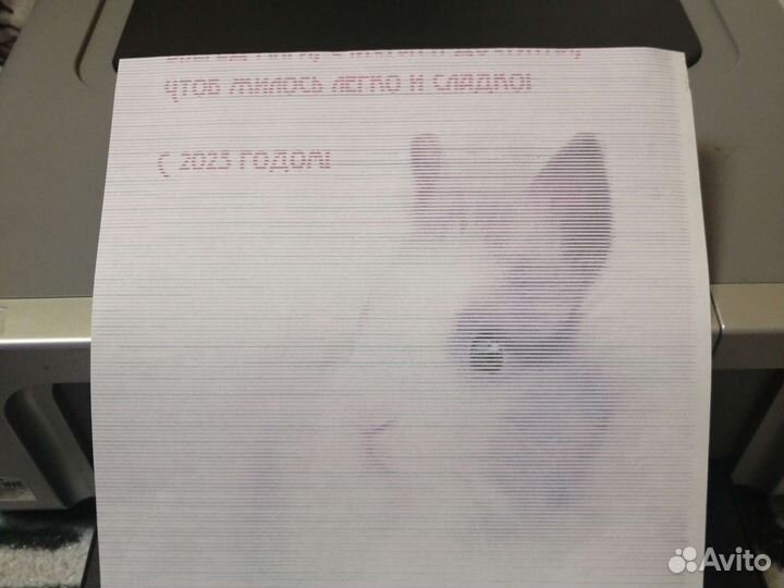 Принтер canon ip4200 цветной