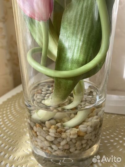 Силиконовые тюльпаны пионовидные