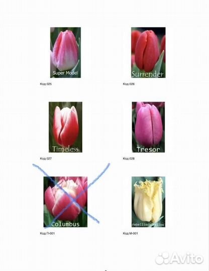 Тюльпаны к 8 марта оптом и в розницу