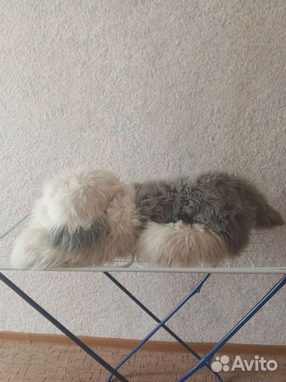 Большая мягкая игрушка (подушка) Собака