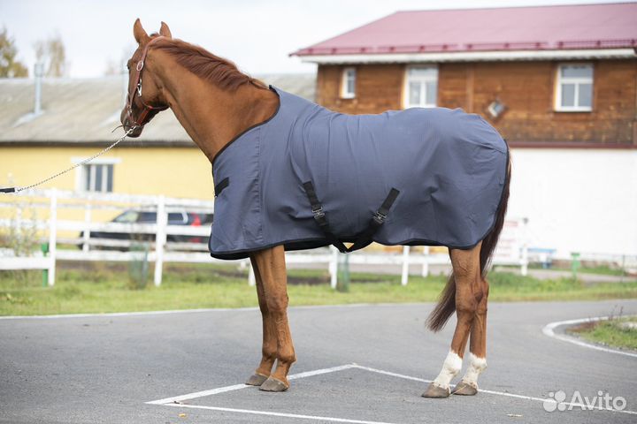 Попона денниковая