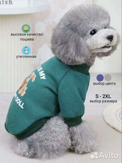 Одежда для собак и кошек