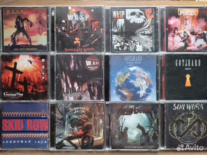 CD,Grave Digger,wasp