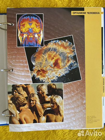 Древо познания, 9 папок. Полная коллекция