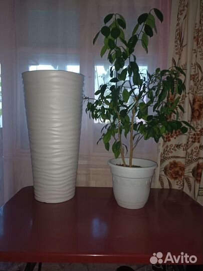 Кашпо для цветов