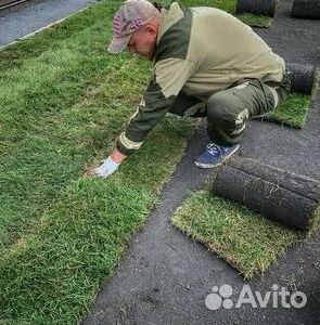 Укладка газона