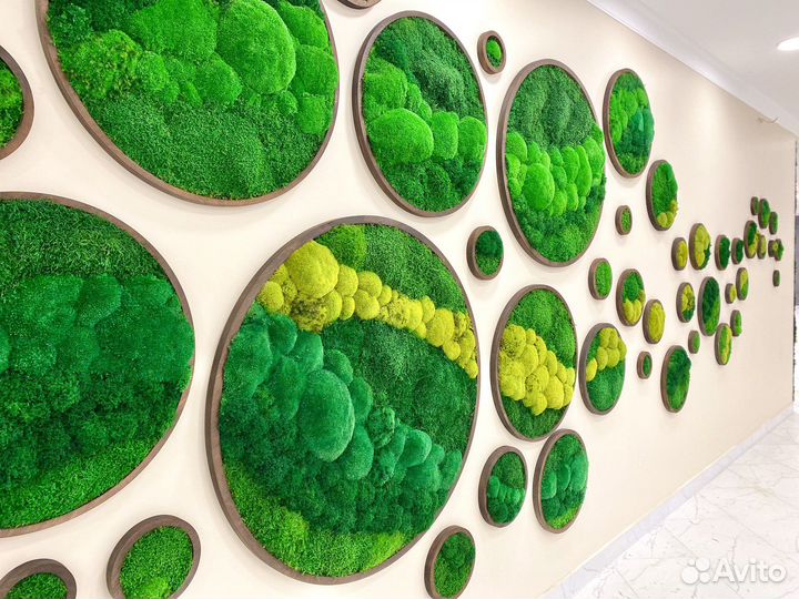 Вертикальное озеленение. Мох. Декор. Фитостена