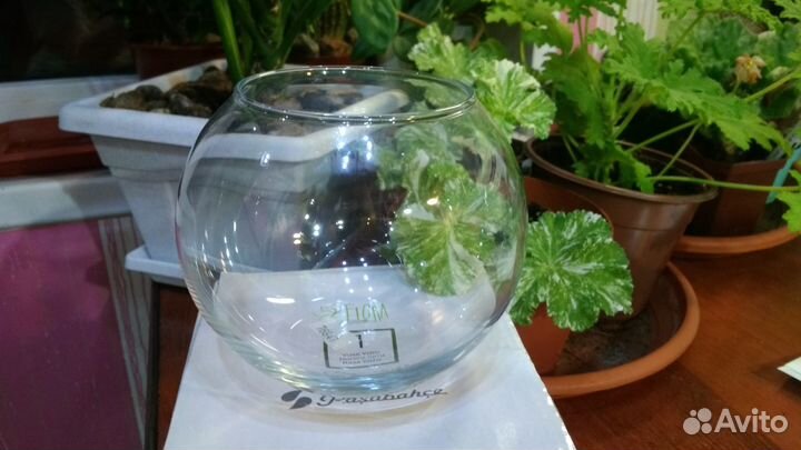 Ваза для флорариума