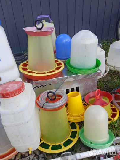 Кормушки, поилки для птицы