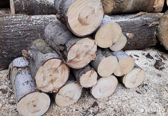 Дрова
