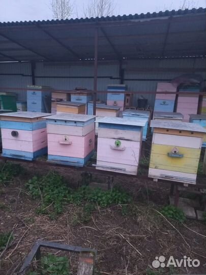 Улей для пчел