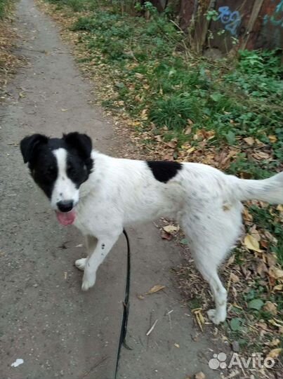 Марта ищет дом