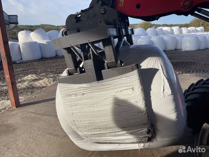 Жом свекловичный