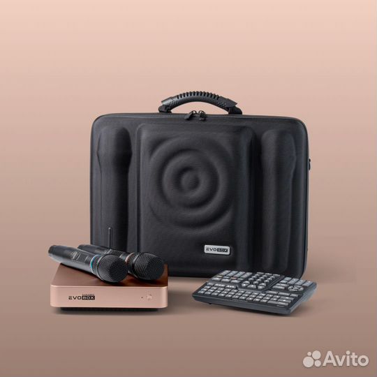Караоке Evobox Plus золото