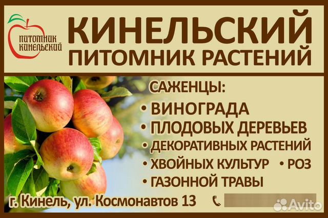 Питомник растений