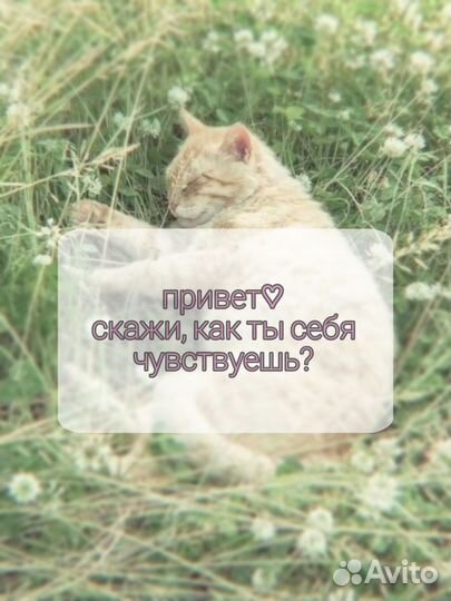 Таролог расклад