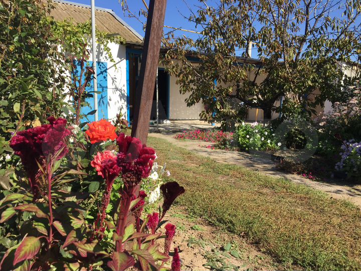 Дом 58 м² на участке 18 сот.