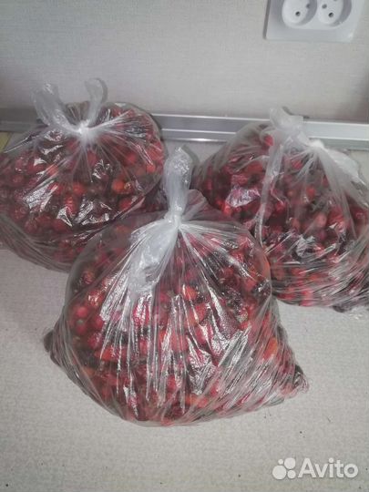 Шиповник сушеный