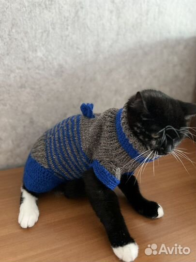 Свитер для маленьких собак и кошек