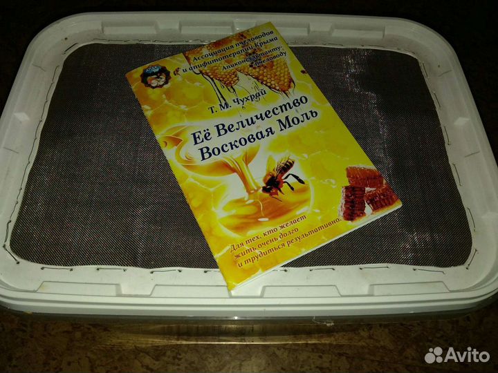 Молярий - Большая Восковая Моль, Огневка