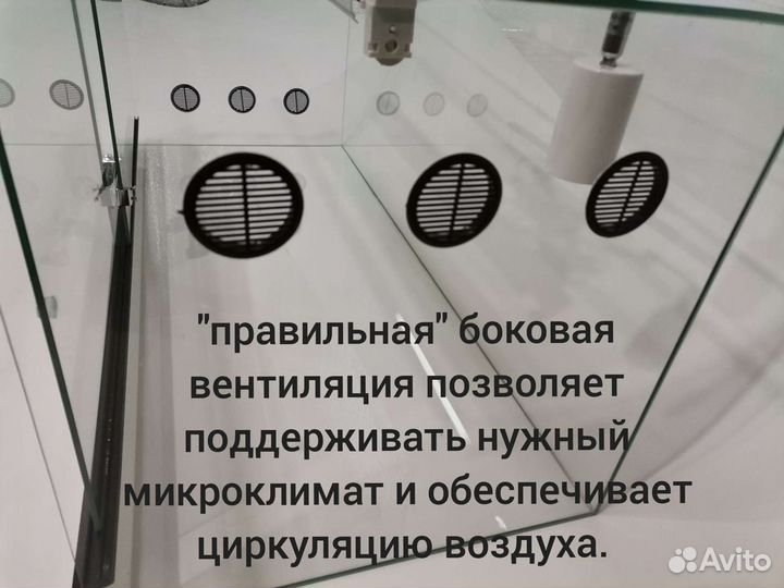 Террариум для рептилий