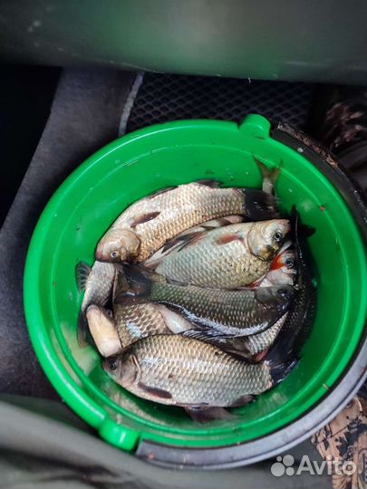 Рыбалка и отдых